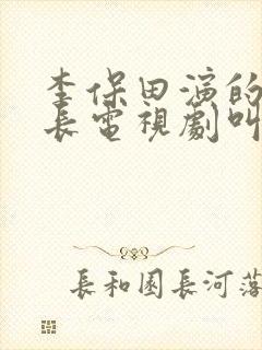 李保田演的王保长电视剧叫什么名字