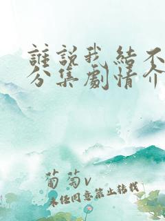 谁说我结不了婚分集剧情介绍