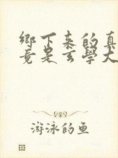 乡下来的真千金竟是玄学大佬