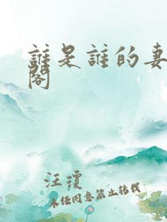 谁是谁的妻笔趣阁