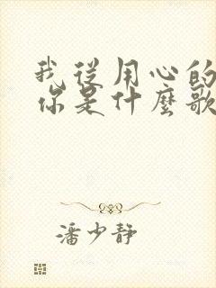 我从用心的爱着你是什么歌