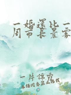 一婚还比一婚高周市长晨雾的光