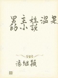 男主姓温是总裁的小说