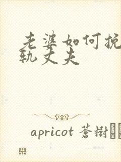 老婆如何挽回出轨丈夫