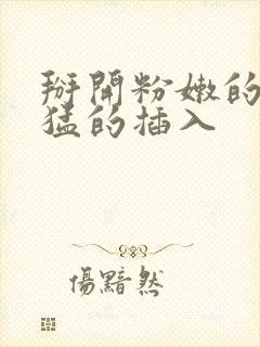 掰开粉嫩的小逼猛的插入