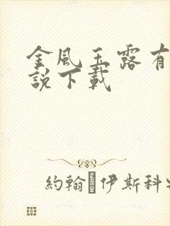 金风玉露有声小说下载