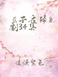 《子夜归》电视剧34集