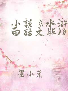 小说《水浒传(白话文版)》