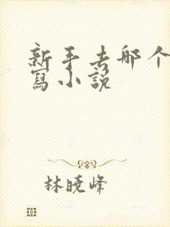 新手去哪个平台写小说