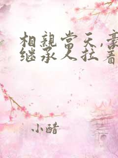 相亲当天,豪门继承人拉着我领证全集短剧