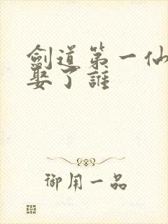 剑道第一仙苏奕娶了谁