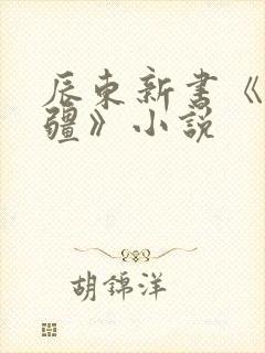 辰东新书《夜无疆》小说