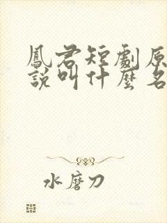 凤君短剧原著小说叫什么名字