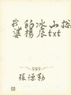 我的冰山总裁老婆杨辰txt