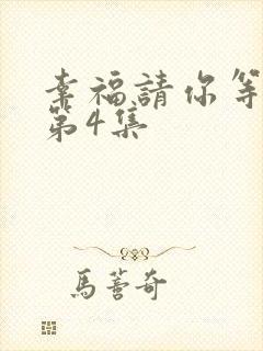 幸福请你等等我第4集