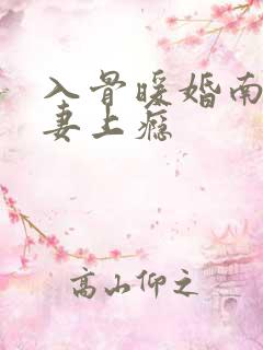 入骨暖婚南少宠妻上瘾