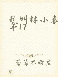 我叫林小喜 今年17