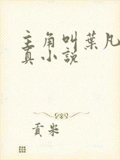 主角叫叶凡的修真小说