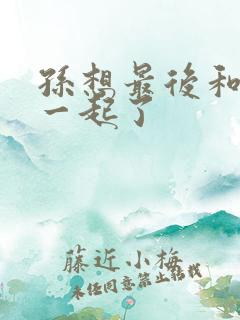 孙想最后和谁在一起了