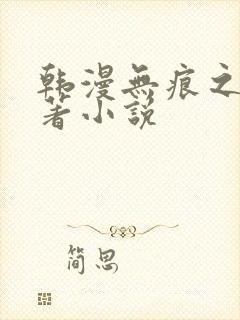 韩漫无痕之夜原著小说