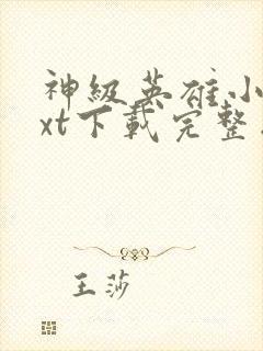 神级英雄小说txt下载完整版