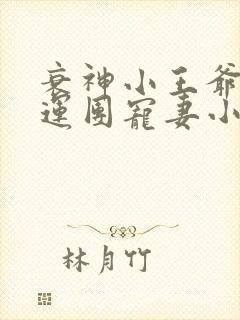 衰神小王爷的福运团宠妻小说txt