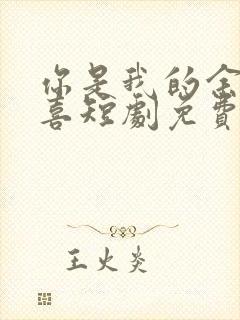 你是我的余生欢喜短剧免费观看全集