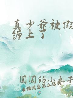 真少爷被假少爷缠上了