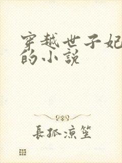 穿越世子妃系列的小说