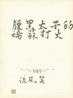 腹黑太子的掌中娇 苏打火