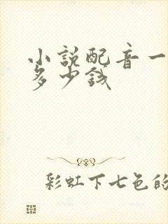 小说配音一个月多少钱