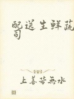 配送生鲜蔬菜公司