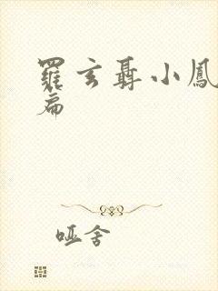 罗玄聂小凤番外篇