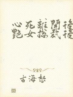 心死离开后,冷艳女总裁后悔了小说