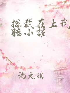总裁在上我在下听小说