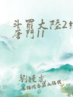 斗罗大陆2绝世唐门11