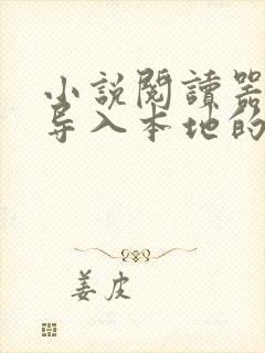 小说阅读器可以导入本地的书籍