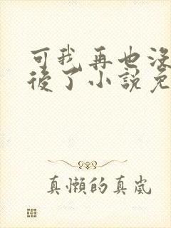 可我再也没有以后了小说免费阅读