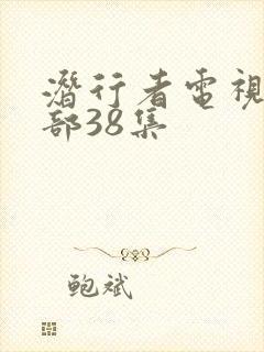 潜行者电视剧全部38集