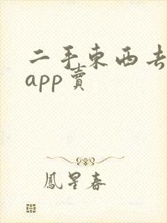 二手东西去哪个app卖