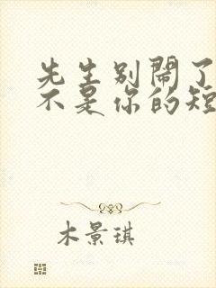 先生别闹了新娘不是你的短剧免费观看大结局