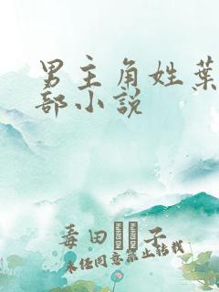 男主角姓叶的全部小说