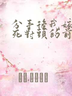 分手后我嫁给了死对头的前男友全文免费
