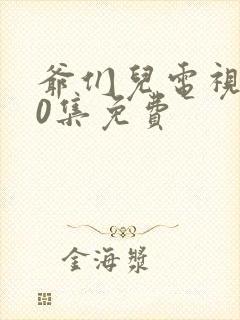 爷们儿电视剧40集免费