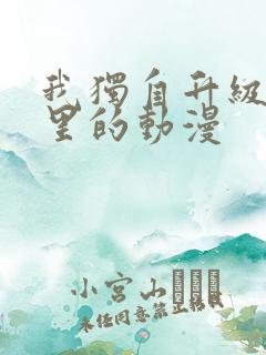 我独自升级是哪里的动漫