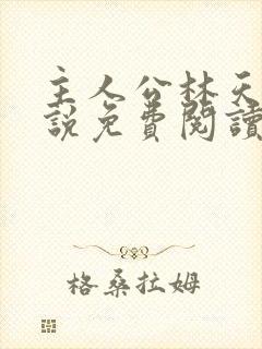 主人公林天的小说免费阅读