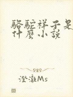 骆驼祥子是一篇什么小说