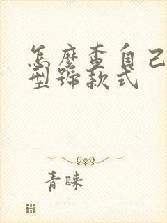 怎么查自己车的型号款式