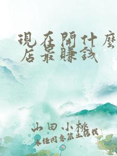 现在开什么小吃店最赚钱