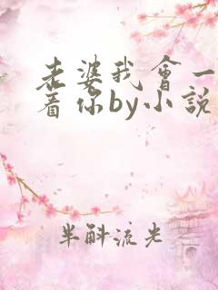 老婆我会一直缠着你by小说免费阅读